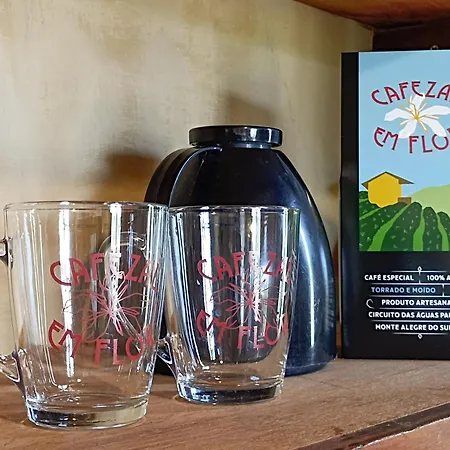Cafezal em Flor Turismo e Cafés Especiais-3
